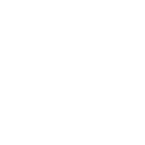 SaudiFirst