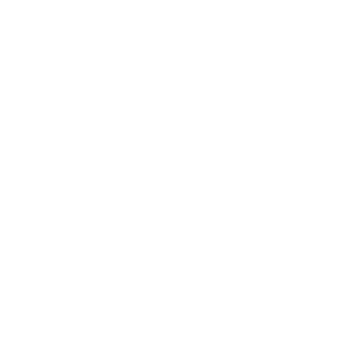 Fisionerv
